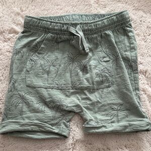 Tea Collection palm tree print shorts